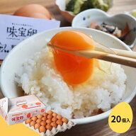 味宝卵　20個入り【農場直送☆福岡県鞍手産】朝採れ新鮮たまご（破損保証10個含む）【野上養鶏場】【九州…