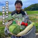 【送料無料】 新鮮野菜セット 旬の野菜詰め合わせ　たまごのおまけ付き(5月限定、炭火焼のおまけ付き)