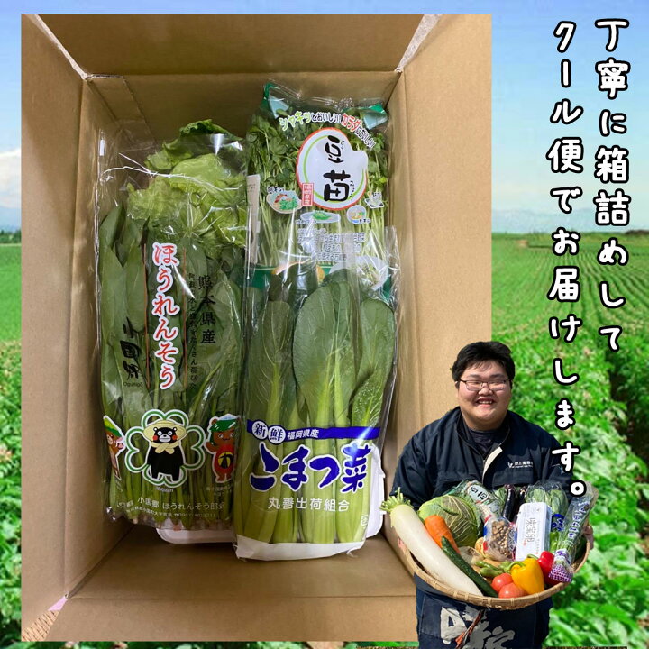 楽天市場】九州発送 旬の野菜詰め合わせ15品 人気新鮮野菜セット【送料 
