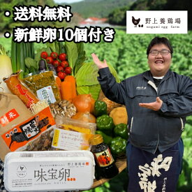 【送料無料】九州産の野菜と卵屋さんの商品セット！たまご10個入りのおまけ付き（★1月発送の方限定で卵かけ醬油がついてくる！）