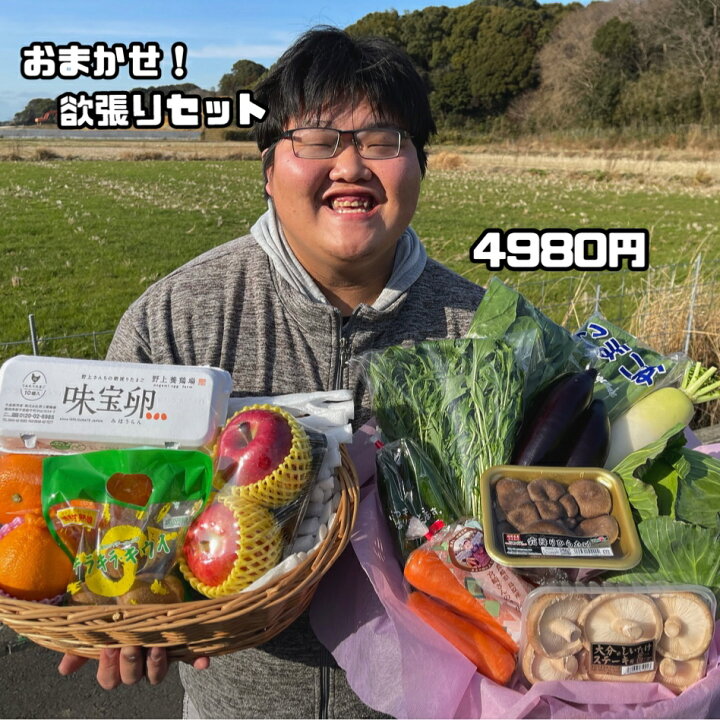 楽天市場】野菜10種類と果物3種類以上が入った欲張りセット【送料無料 