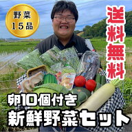 九州発送 旬の野菜詰め合わせ15品 人気新鮮野菜セット【送料無料】朝採れ卵/ブランド卵「味宝卵」10個入…