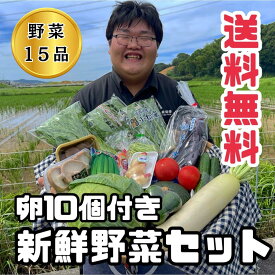 九州発送 旬の野菜詰め合わせ15品 人気新鮮野菜セット【送料無料】朝採れ卵/ブランド卵「味宝卵」10個入りのおまけ付き（★8月発送の方限定で炭火焼がついてくる！）九州野菜セット 野菜詰め合わせ やさい