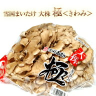 舞茸 極(きわみ) 新潟県産 850g 雪国まいたけ 大株 無農薬化学肥料 不使用 ギフト きのこ キノコ まいた…