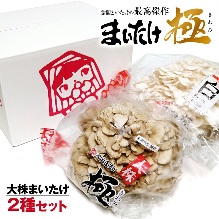 楽天市場】舞茸・白舞茸セット 新潟県産 雪国まいたけ 極(きわみ) 大株 