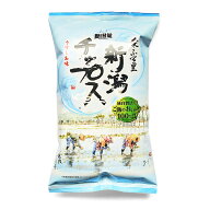 新潟堂 新潟チップス うすしお味 100g 選べる1袋 3袋 6袋セット 新潟 お土産 お取り寄せ 米菓 お米 チッ…