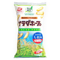 亀田製菓 サラダホープ 塩味 75g 選べる 2袋 〜 12袋 セット 新潟 お土産 お取り寄せ あられ