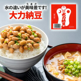大力納豆 85g 選べる 1個 5個 10個セット たれ付 中粒 新潟 お土産 お取り寄せ グルメ
