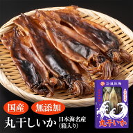 日本海名産 丸干しいか 箱入り 300g 選べる 1箱 〜 4箱セット わた入り 肝入り 干物 新潟 佐渡 お土産 お…