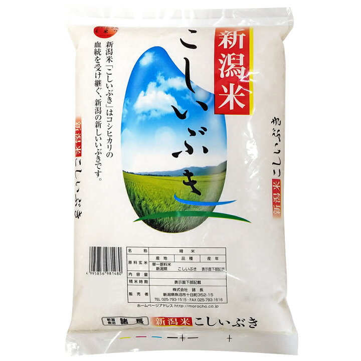 楽天市場】令和7年産 米 5kg こしいぶき 新潟県産 精米 白米 うるち米 
