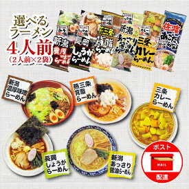 選べる 新潟ラーメン 2袋セット 2人前×2袋 選べる 新潟5大ラーメン ご当地 グルメ 越後屋重兵衛 燕三条背脂らーめん 長岡生姜醤油らーめん 新潟濃厚味噌らーめん 新潟あっさり醤油らーめん 佐渡あごだしらーめん 三条カレーらーめん お試し ポイント消化