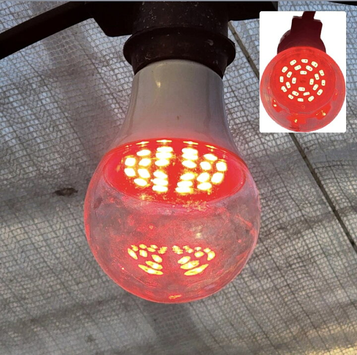 楽天市場】アザミウマ抑制赤色LED電球12W 100個セット 1個 