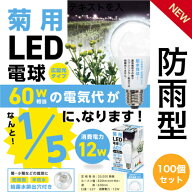 電照菊用LED電球12W　100個セット　1個445円　口金E26　菊いちご生産者様用　60W相当　花芽分化抑制用
