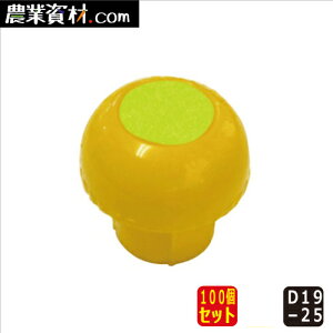 PǃLbv  ˕ti100ZbgjySƁz