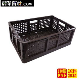 折りたたみコンテナ（チョコ）（10個セット）収納ボックス【安全興業】