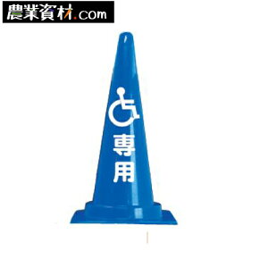 sNgTCR[ CCP-1 Ԉ֎q}[NySƁz