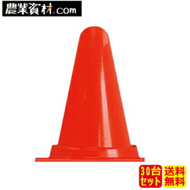 楽天市場 カラーコーン 高さ 300mmの通販