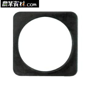 SR[EFCg@CB-2 R[xbg R[x[X