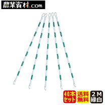 楽天市場】コーンバー 白 緑 2mの通販