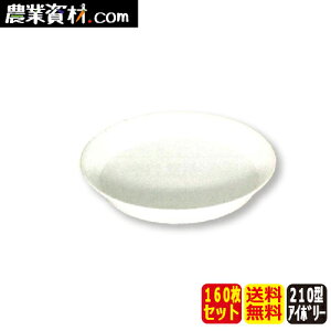 AZ�E�H�[���X�v���[�g210�^�i�z���C�g)�i160���Z�b�g�j�y���S���Ɓz