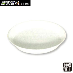 AZ�E�H�[���X�v���[�g300�^�i�z���C�g)�y���S���Ɓz