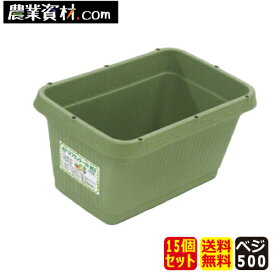 楽天市場 ハーブ 花壇の通販