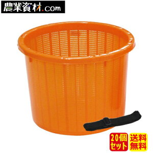 ی^n xgt  (20Zbg)@20L(e)ySƁz