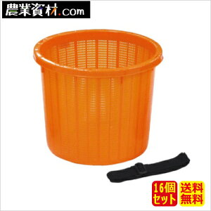 ی^n xgt  (16Zbg)@16L(e)ySƁz