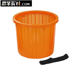 ی^n@xgt@@16L(e)ySƁz