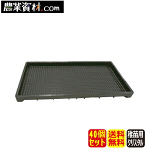 �t�c�p��c���N���X�^���J�b�g�i40�Z�b�g�j�y���S���Ɓz