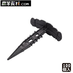 AZ}`L[p[@1100ySƁz