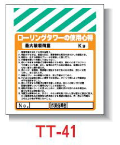 Pǂꖋ@450*550@TT-41 u[O^[̎gpSv^b`tW PǕWySƁz