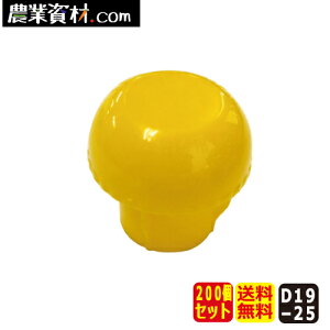 PǃLbv i200ZbgEjySƁz