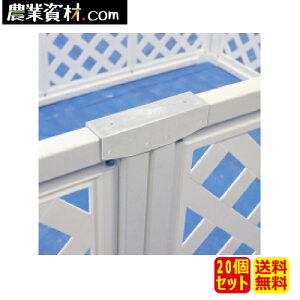 eBXtFXpXg[gWCgi20ZbgjySƁz