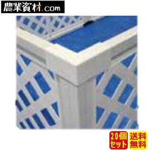 eBXtFXpR[i[WCgi20ZbgjySƁz