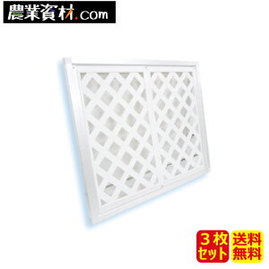 eBXtFX@900*1100i3Zbg)ySƁz