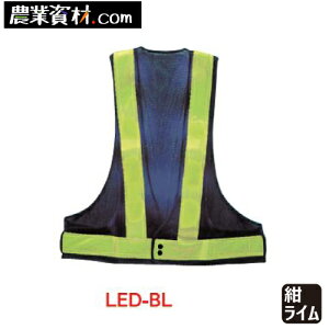 LEDxXg /C LED-BLySƁz