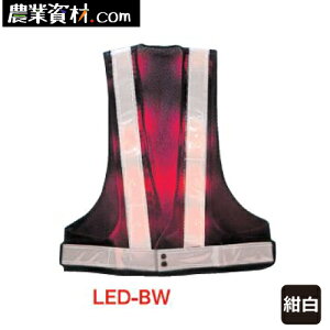LEDxXg / LED-BWySƁz