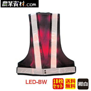 LEDxXg / LED-BWi20ZbgjySƁz