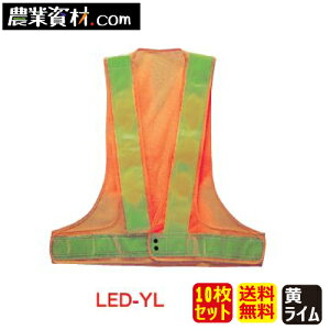 LEDxXg /C LED-YLi20ZbgjySƁz