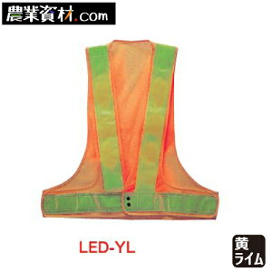 LEDxXg /C LED-YLySƁz