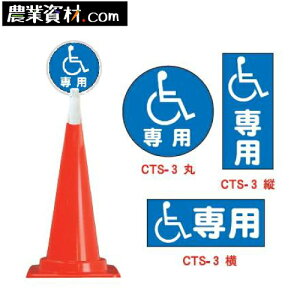 R[gbvTC CTS-3 Ԉ֎qp@nJ}tySƁz