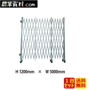 A~Q[g ЊJ 1.2mx5.0mySƁz