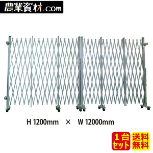 A~Q[g J 1.2mx12.0m(6.0mx6.0m)ySƁz