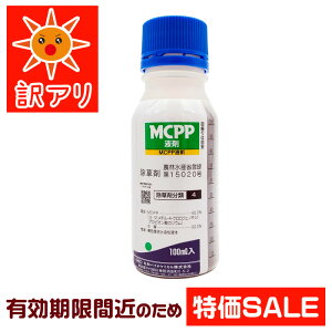 ��2026�N10���܂ł̗L���������y�����܁zMCPP�t�� 100ml�b���N�؂�i ���ʉ��i�b�G�� �L�t �X�M�i �N���[�o�[ �s�t�����b�_�� �A�E�g���b�g �󂠂� �݌ɏ��� ���� �Z�[�� �����Z���b�_�� ���| DI