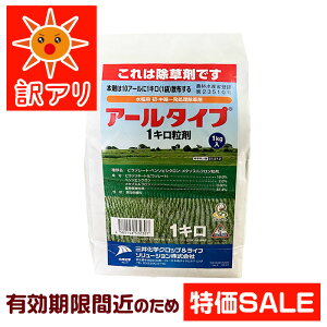 ��2026�N10���܂ł̗L���������y����p�����܁z�A�[���^�C�v1�L������ 1kg�b���N�؂�i ���ʉ��i�b�ꔭ������ ���N�� �� �c��� �G���b�_�� �A�E�g���b�g �󂠂� �݌ɏ��� ���� �Z�[�� �����Z