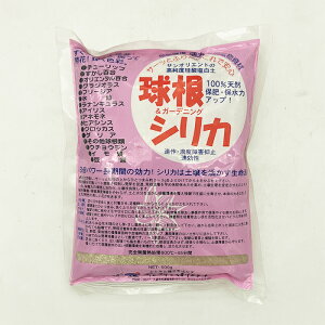 VJ 500gb엿 A   ʕ y x_ v^[ Aؔ bAEgbg 󂠂 ݌ɏ  Z[b_ | DIY K[fjO ƒ؉  b_Ǝނ̐Xb