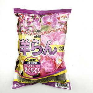 K[fCg m̔엿 450g