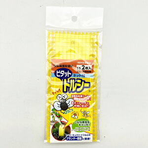 QߊlS gV[lbgt SS2 F 2