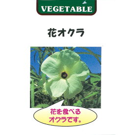 オクラ 種 【 花オクラ 】 種子 小袋（約1ml(約20粒)） （ 種 野菜 野菜種子 野菜種 ）